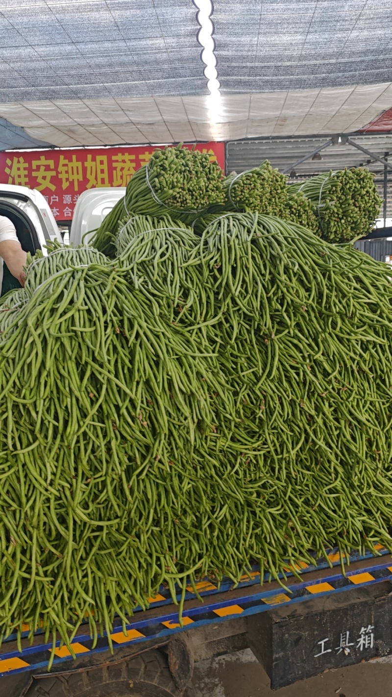 长豆角/豇豆对接商超批发市场品质保证欢迎咨询