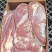【优质推荐】牛肉大量有货量大从优保质保量欢迎咨询