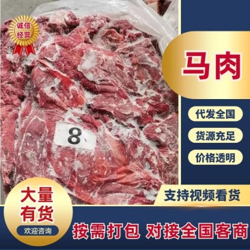 【优质推荐】马肉一手货源可对接商超市场贸易价格美丽