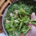 无性系绿茶