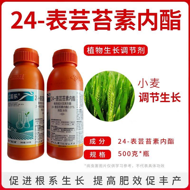 24表芸苔素内酯植物生长调解剂生根丰产