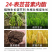 24表芸苔素内酯植物生长调解剂生根丰产