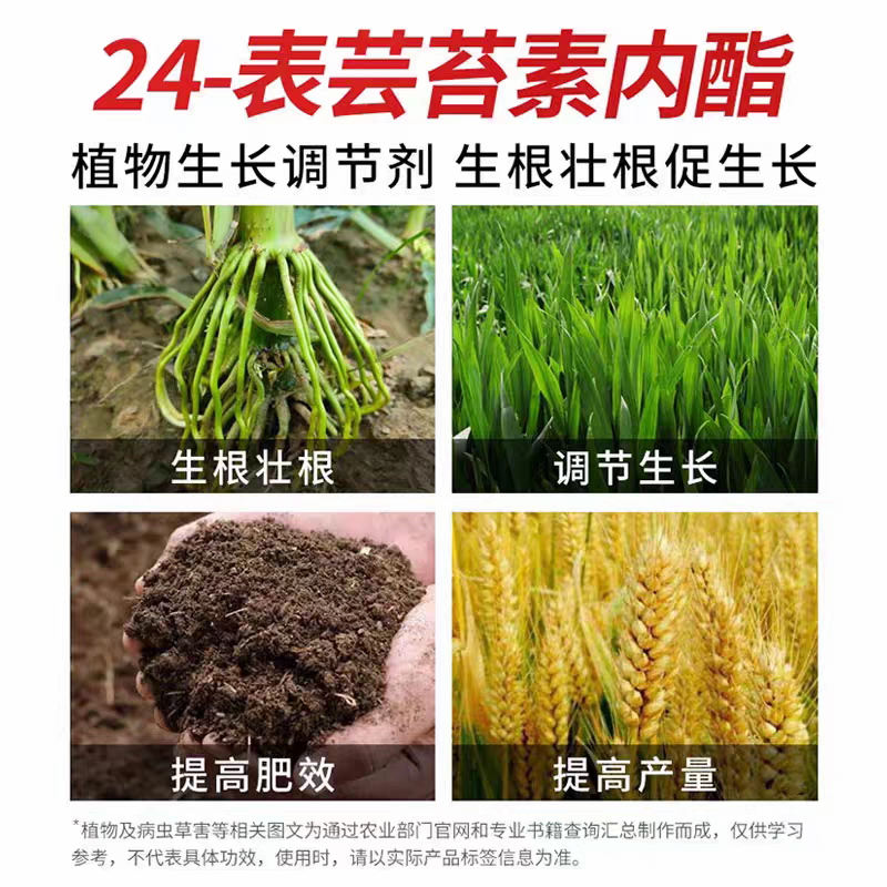 24表芸苔素内酯植物生长调解剂生根丰产