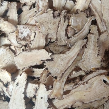 当归头片，物优价廉，质量保证，全国包邮。