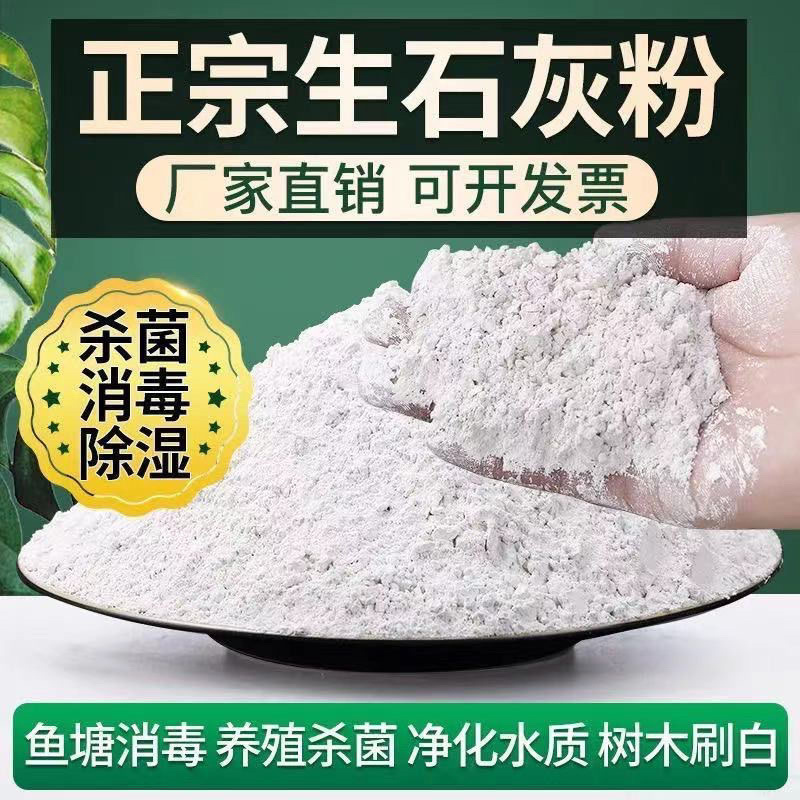 生石灰粉消毒杀菌防虫净化水质改良土壤树木刷白防霉除湿