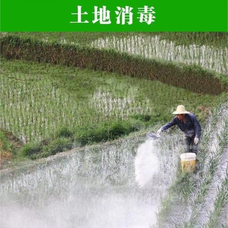生石灰粉消毒杀菌防虫净化水质改良土壤树木刷白防霉除湿