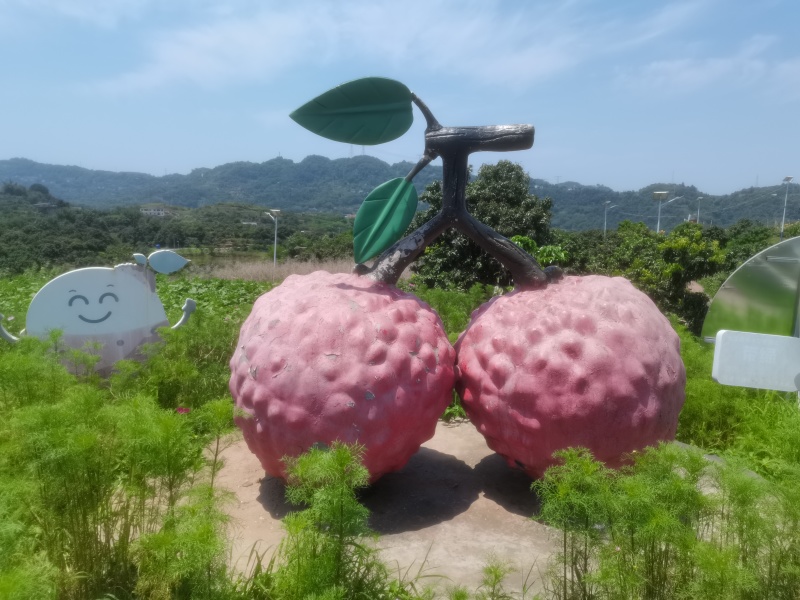 白糖罂荔枝四川合江晚熟荔枝基地一手货源对接电商平台