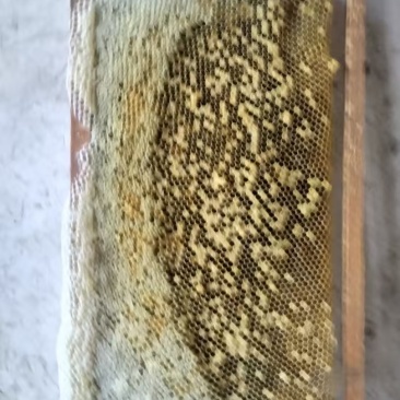 重庆梁平礼让蜂蜜波美度42精品蜂蜜量大从优有需要联系。