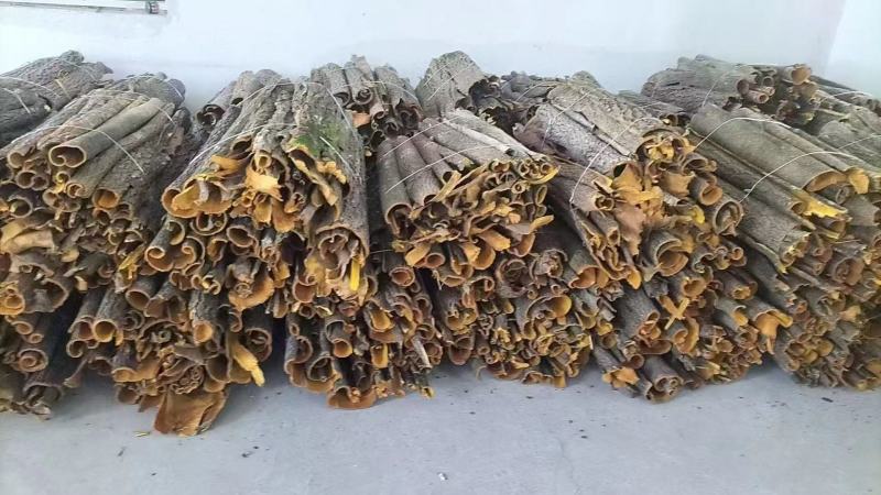 黄柏皮产地批量出售，定制可详聊