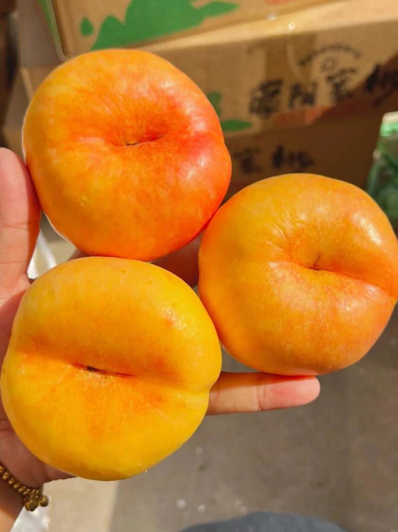 临沂蒙阴黄蟠桃各类油桃品种大量供应欢迎选购量大从优
