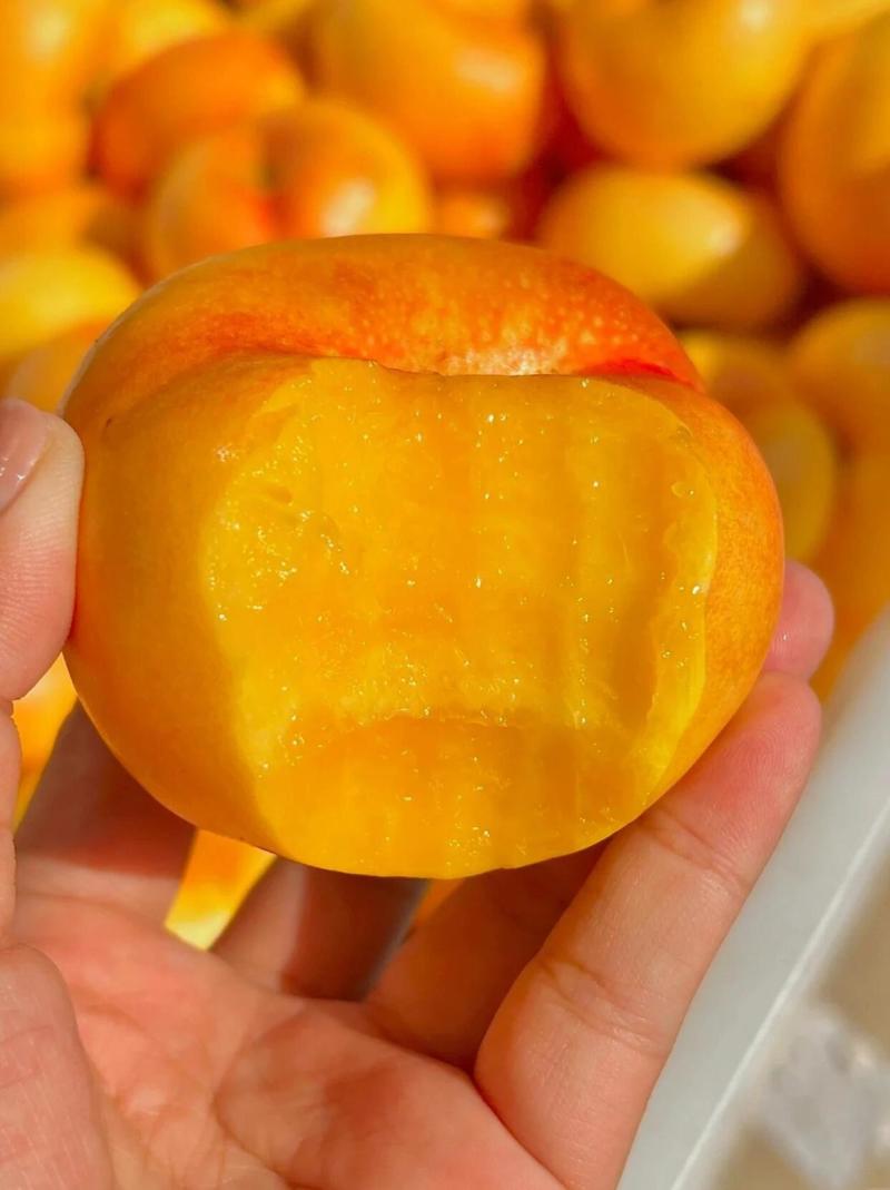 临沂蒙阴黄蟠桃各类油桃品种大量供应欢迎选购量大从优
