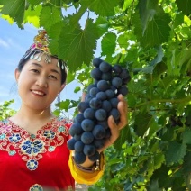 新疆夏黑果酱果大量上市产地直供，欢迎咨询