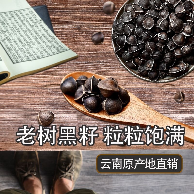 辣木籽2025年新货产地直供颗颗饱满精选黑籽