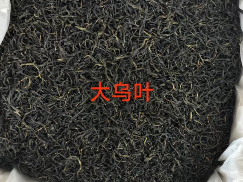 凤凰单丛茶