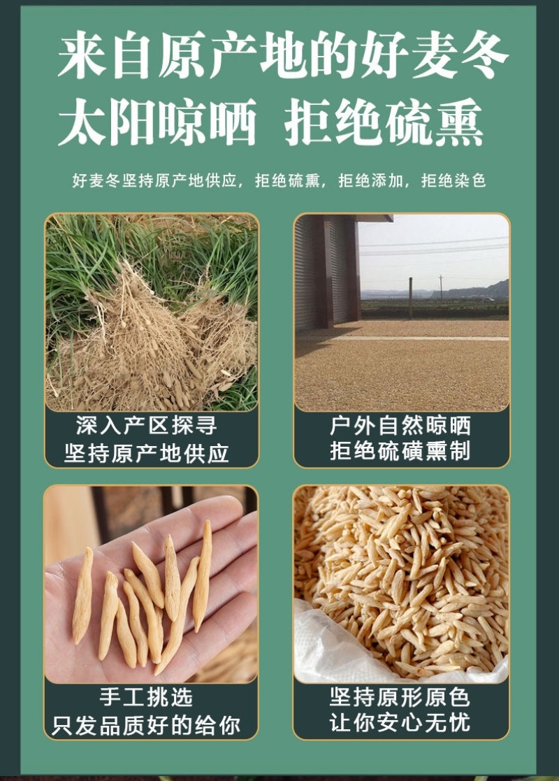 川麦冬麦冬地道药材罐装方便实用价格实惠2025