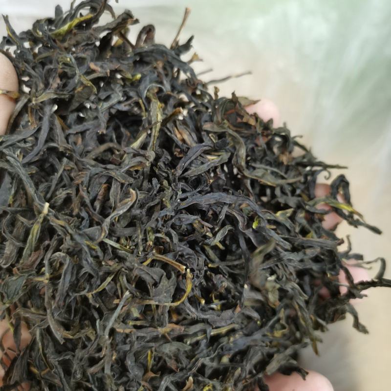 凤凰单丛茶