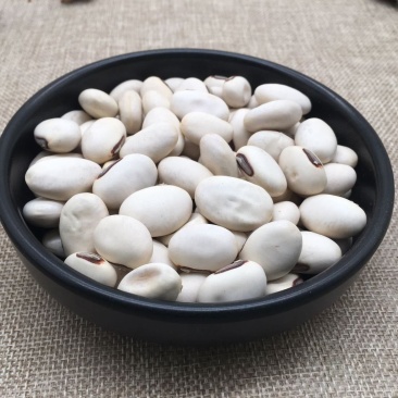 白刀豆