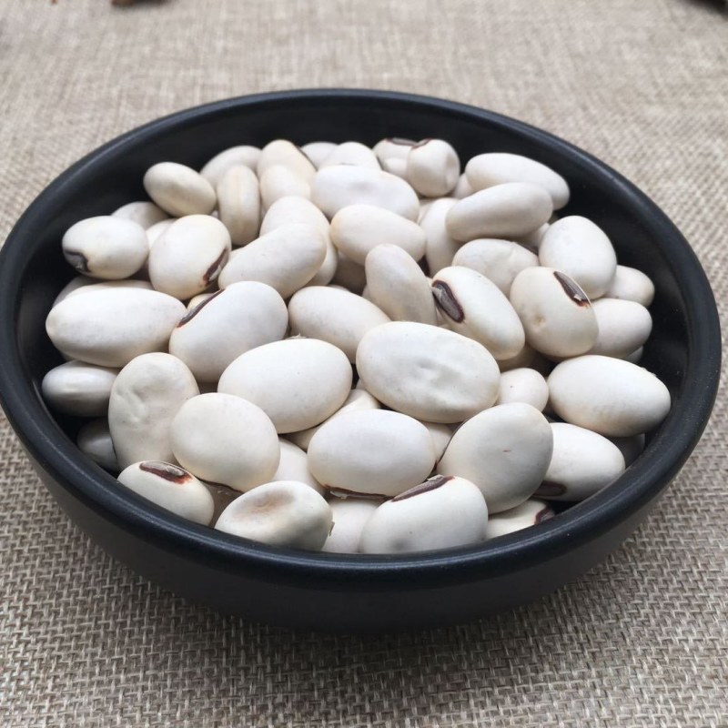 白刀豆