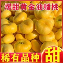 《精选》黄金油蟠桃基地直发对接商超保质保量一条龙服务