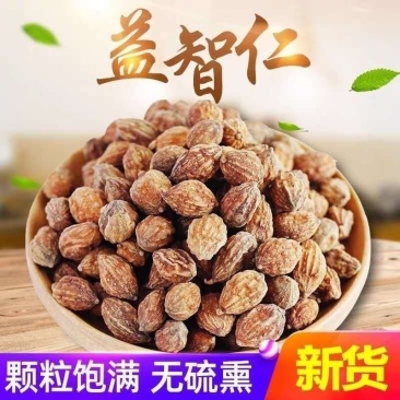 益智仁