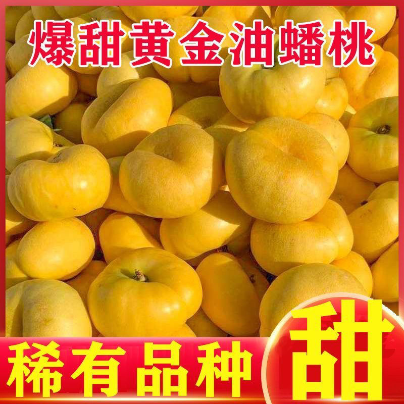 《黄金油蟠桃》陕西基地直发一条龙服务对接商超团购供应链