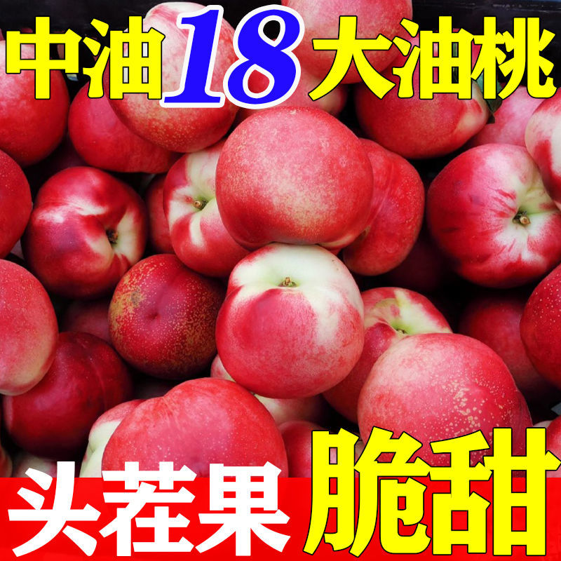 《实力》陕西中油16/18油桃系列品种齐全对接商超团购供