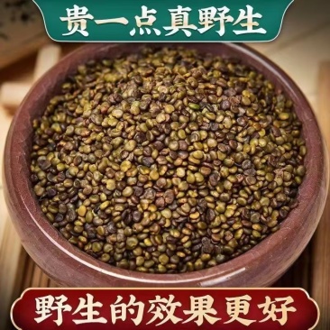 沙苑子
