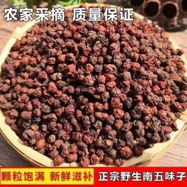 南五味子