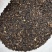 桦树茸2025年新货各类都有大小黑晶碎粒