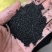 桦树茸2025年新货各类都有大小黑晶碎粒