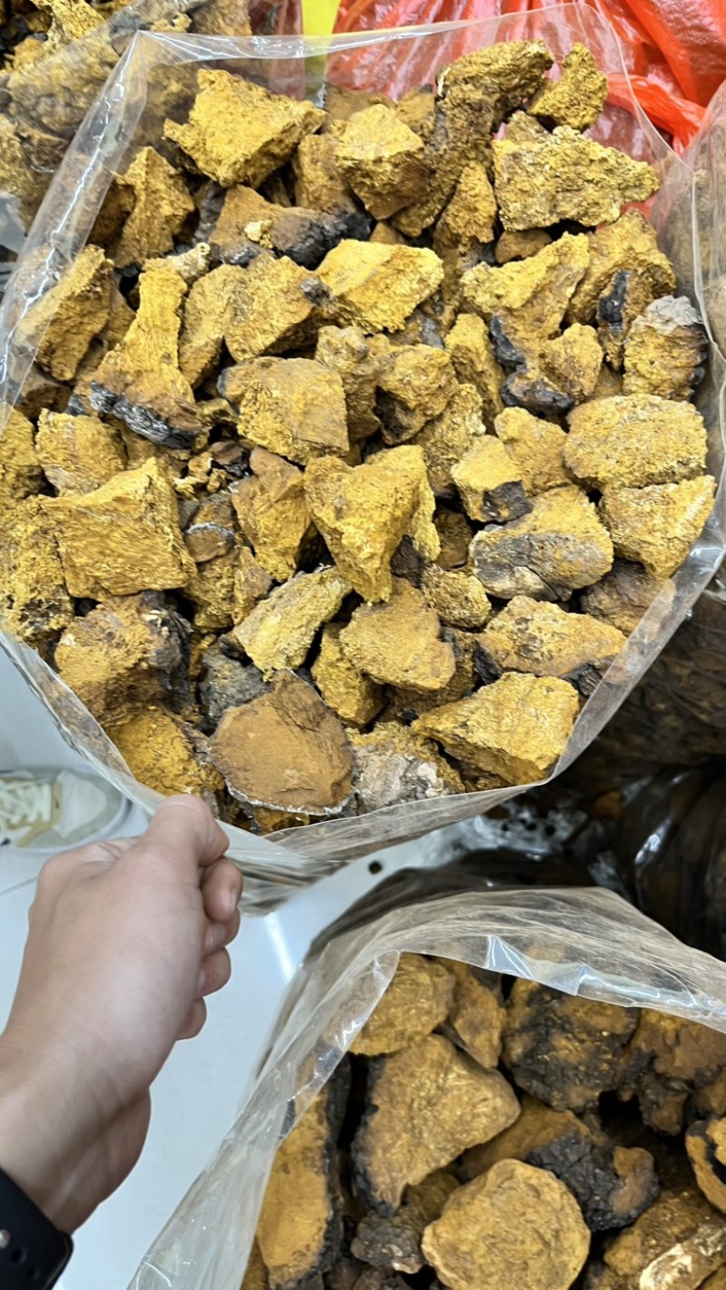 桦树茸2025年新货各类都有大小黑晶碎粒