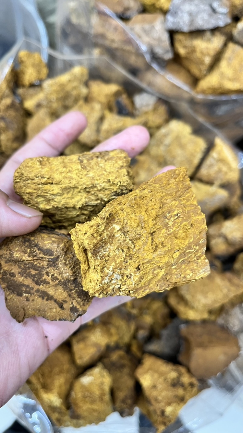 桦树茸2025年新货各类都有大小黑晶碎粒