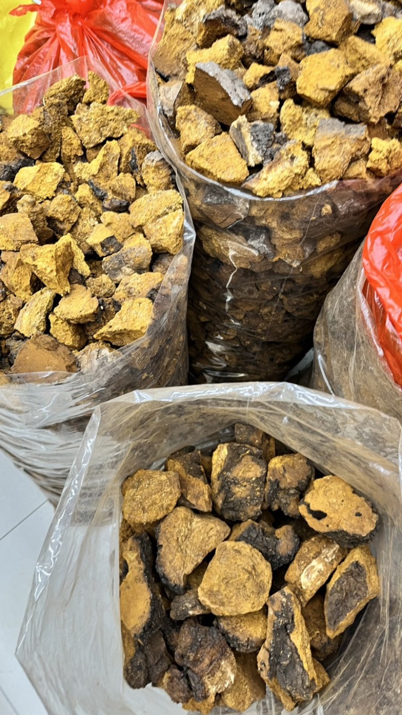 桦树茸2025年新货各类都有大小黑晶碎粒