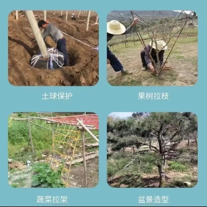 捆扎绳子园林果树拉枝捆土球蒜苔蔬菜编织绑树绳优质布条