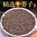 牛蒡子中药材非野生特级牛蒡子茶大力子牛子正品无硫牛旁子