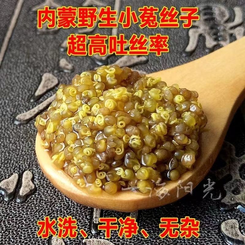 菟丝子野生兔丝子正宗精选内蒙正品水泡中药材泡茶菟丝籽吐丝
