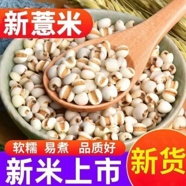 薏苡仁/薏米仁/新货薏仁米粮薏苡仁五谷杂粮