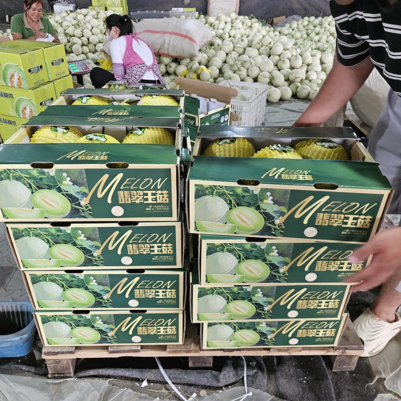 山东翡翠玉菇甜瓜整件批发上车山东玉菇甜瓜