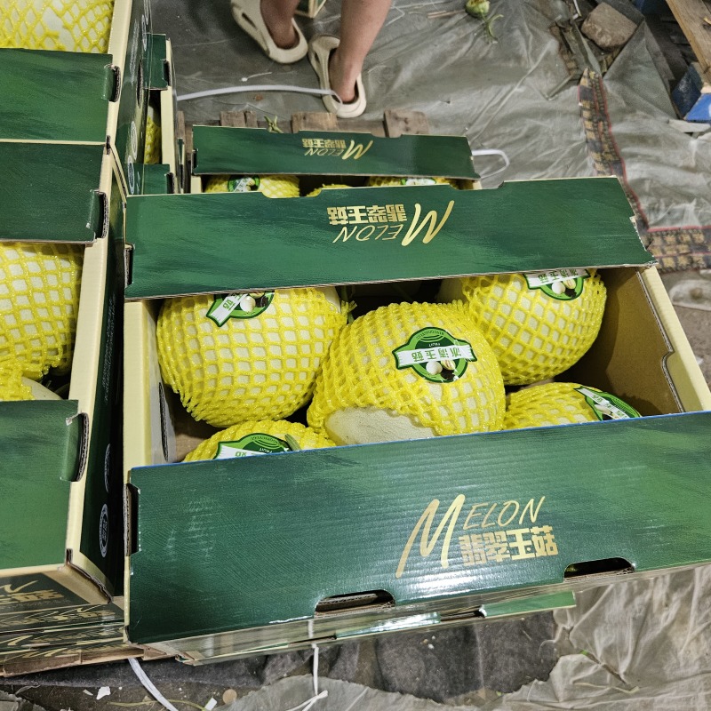山东翡翠玉菇甜瓜整件批发上车山东玉菇甜瓜