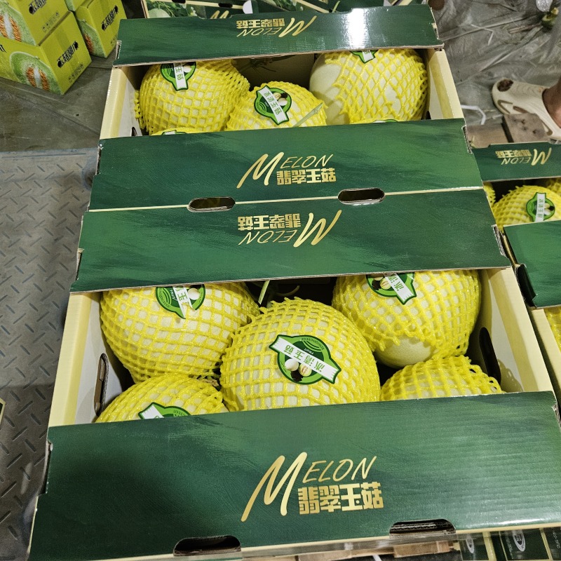 山东翡翠玉菇甜瓜整件批发上车山东玉菇甜瓜