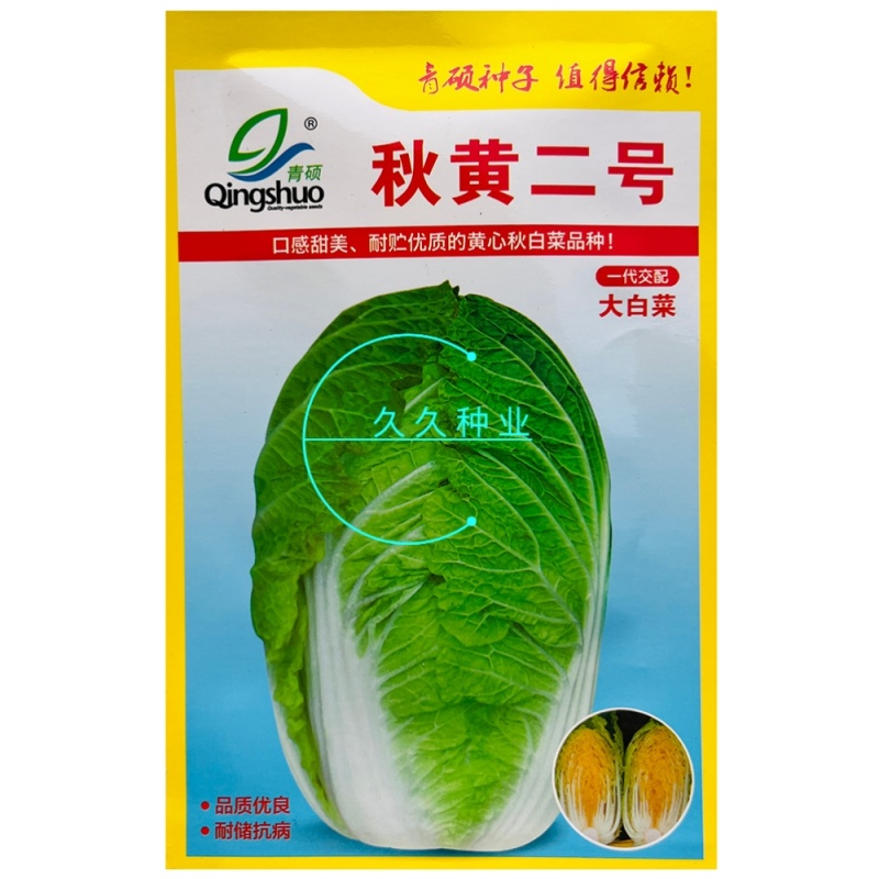 青硕秋黄二号大白菜种子早熟高产口感甜脆黄心大白菜种籽秋季