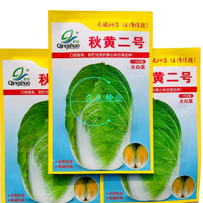青硕秋黄二号大白菜种子早熟高产口感甜脆黄心大白菜种籽秋季