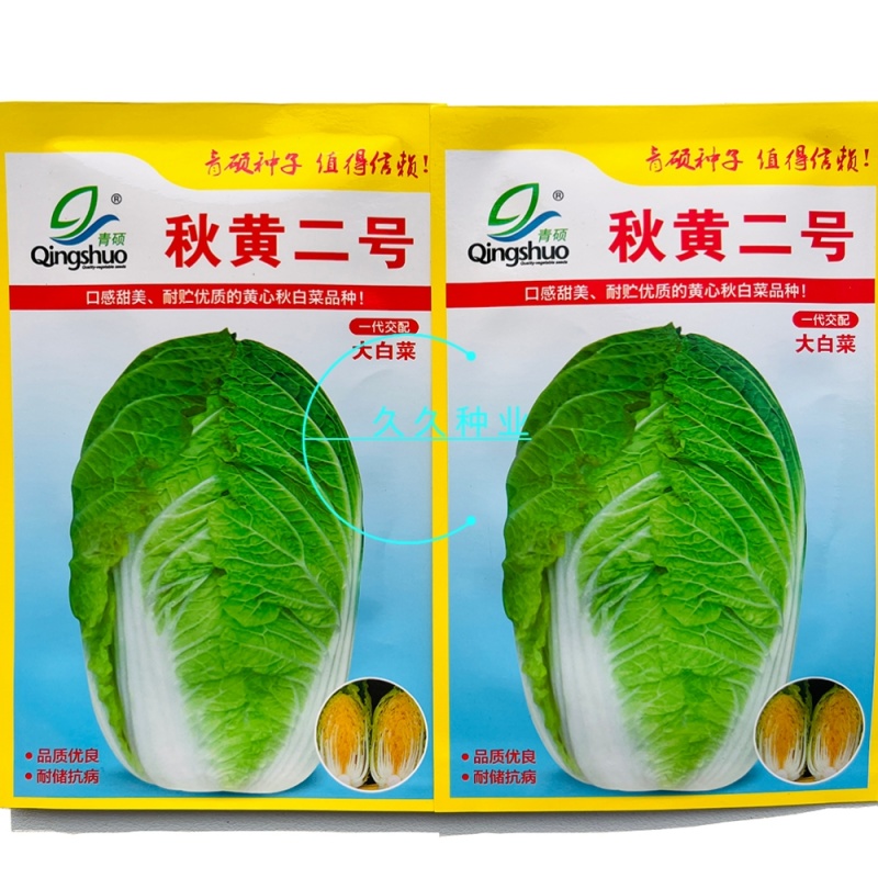青硕秋黄二号大白菜种子早熟高产口感甜脆黄心大白菜种籽秋季
