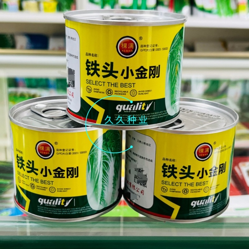 铁头小金刚大白菜种子高产抗病叶球叠抱包球紧实秋季白菜种蔬