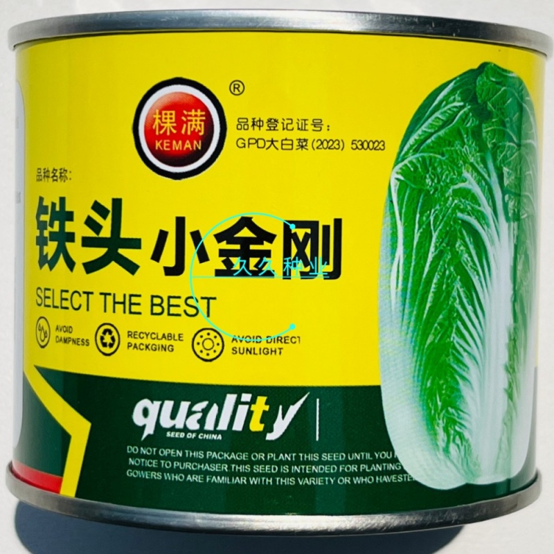 铁头小金刚大白菜种子高产抗病叶球叠抱包球紧实秋季白菜种蔬