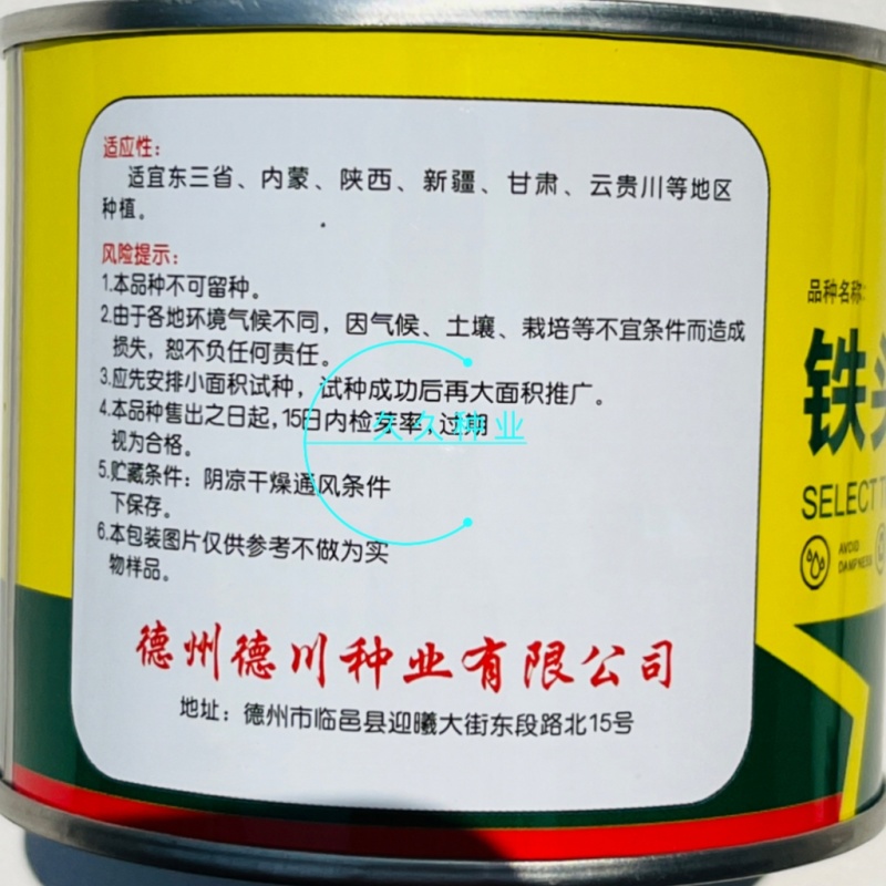 铁头小金刚大白菜种子高产抗病叶球叠抱包球紧实秋季白菜种蔬