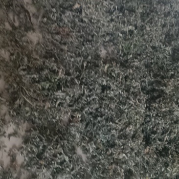 纯野生艾叶