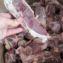 优质商家，满肉牛腩排，出肉率高，品质，质量，欢迎视频看货