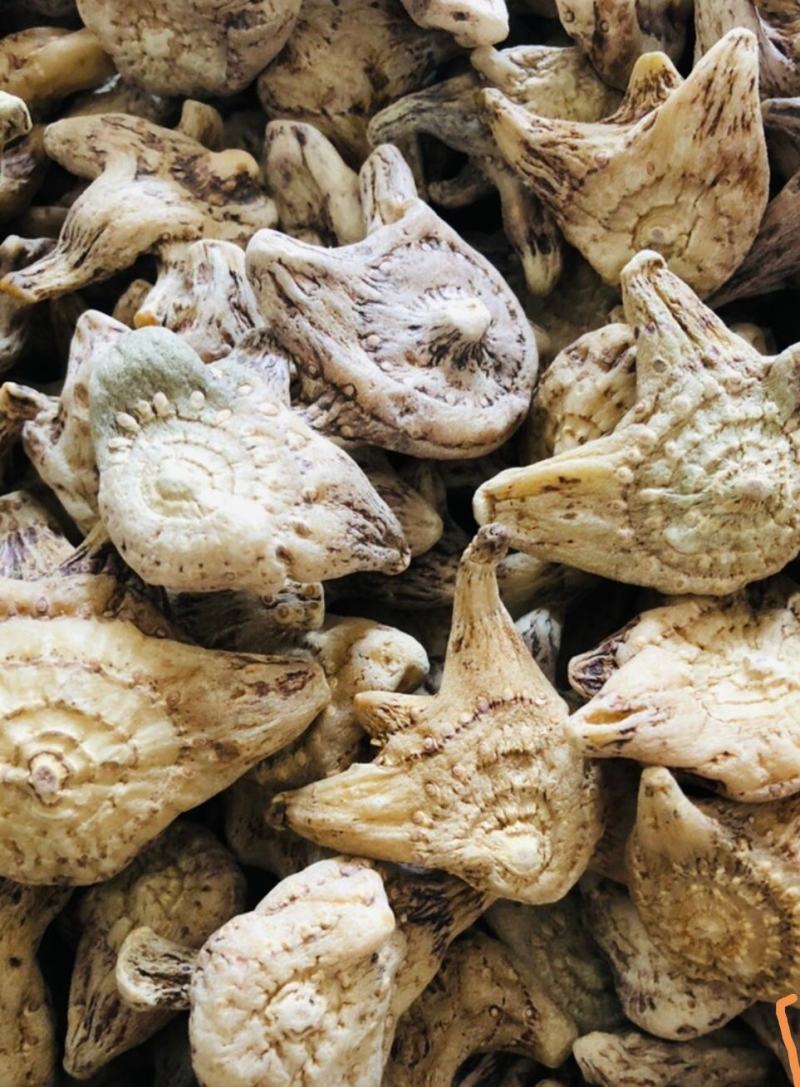 高品质白芨长期供应量大从优***欢迎选购