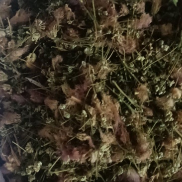 合欢花